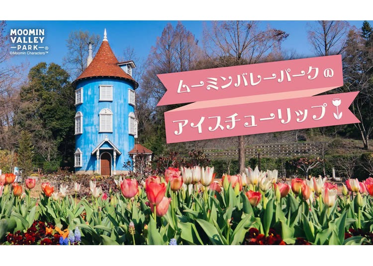 무민밸리 파크 아이스 튤립 전시 (사이타마현 한노)