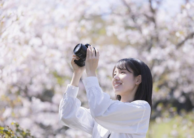 圖片來源:PIXTA