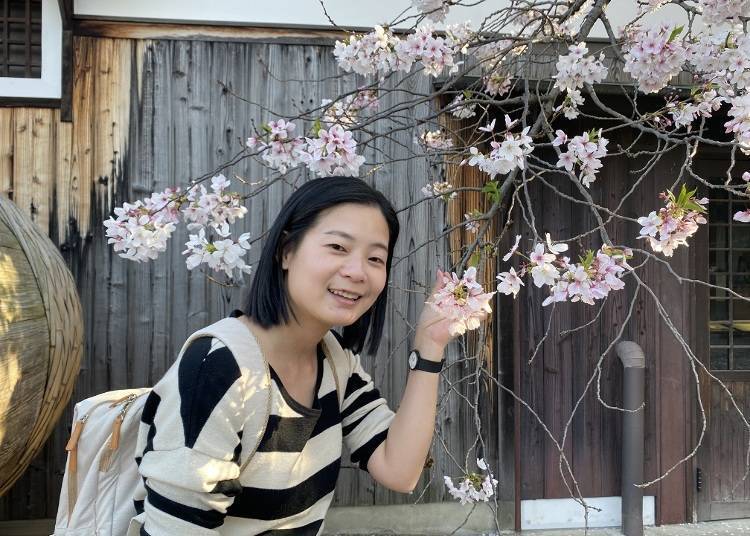 照片:LIVE JAPAN(https://livejapan.com/zh-tw/in-kansai/in-pref-kyoto/in-fushimi_uji/article-a2000821/)