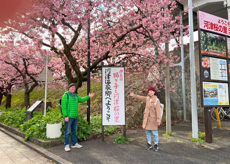 Sign in front of the train station, welcoming visitors to Kawazu