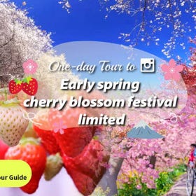 (From Tokyo) Kawazu Sakura Festival & Strawberry Picking & Hie Shrine Day Tour
(Image: Klook)
