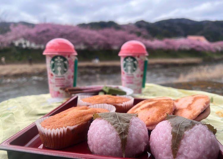 完美的櫻花野餐，配上櫻餅（櫻花麻糬）