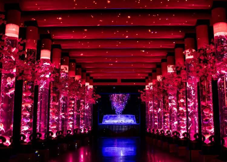 Meccha Sakura di ART AQUARIUM (Ginza)