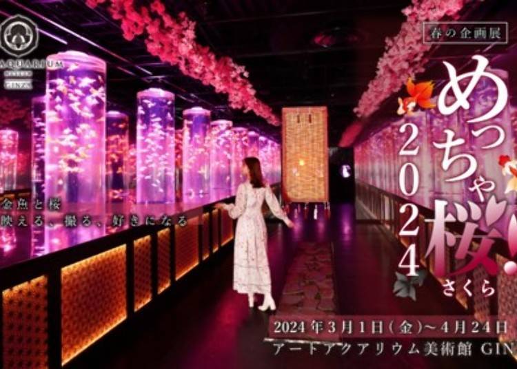 銀座藝術水族館特別展「めっちゃ桜！2024」（銀座）