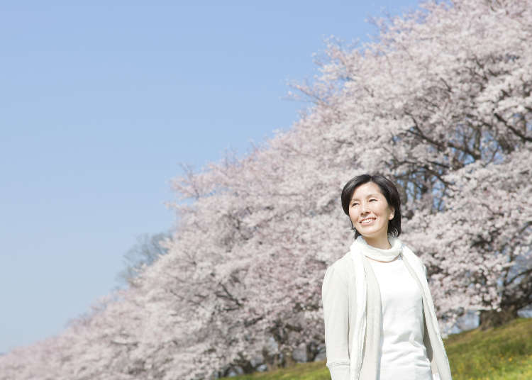 第1名是有3萬棵櫻花的景點!日本50歲以上女性最愛的賞櫻景點TOP3