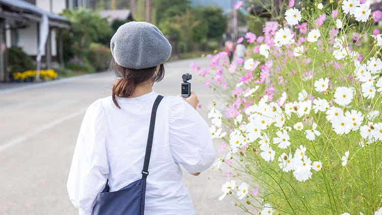 Visiting Japan in September - The Best Things to Do and Reasons to Visit