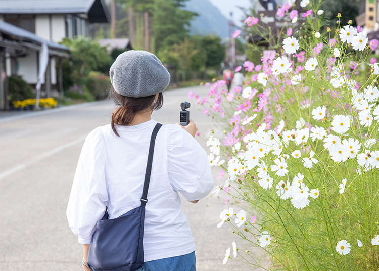 Visiting Japan in September - The Best Things to Do and Reasons to Visit