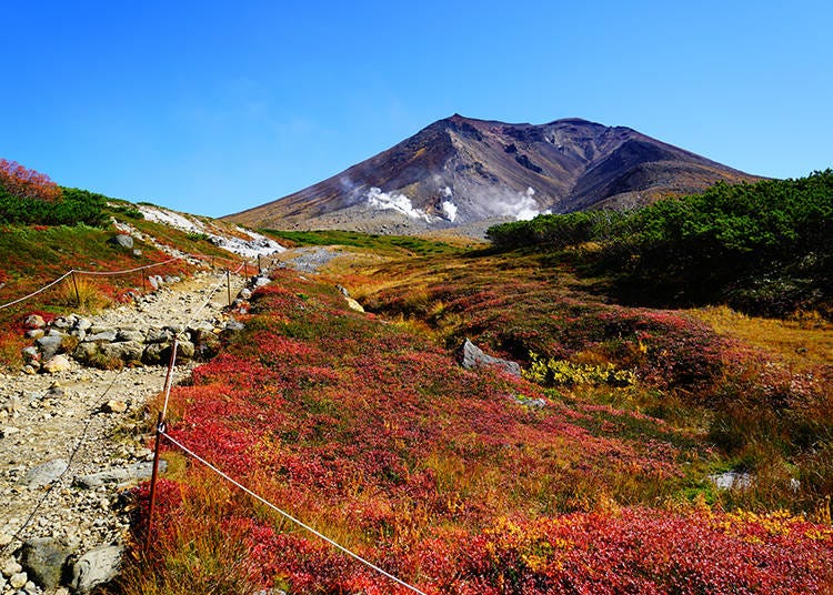 Autumn colors begin to appear in Hokkaido’s Mt. Asahidake in September (Image: PIXTA)