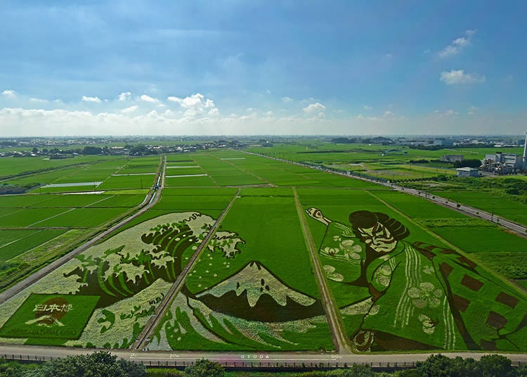 Admire the incredible rice art in Gyoda in Saitama in September (Image: PIXTA)