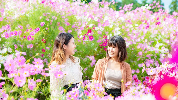 Visiting Japan in October: Weather, Travel Advice, Best Things to Do and Reasons to Visit