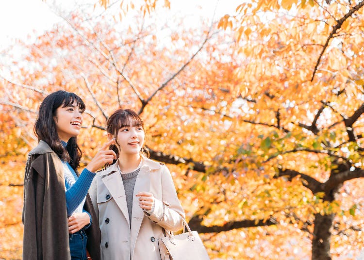 Expect sunny days and occasional cooler temperatures in Japan in October (Image: PIXTA)