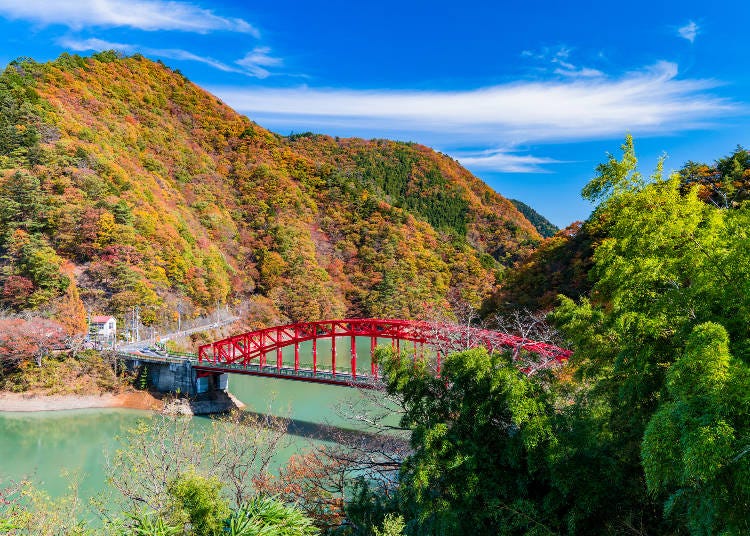 Lake Okutama in western Tokyo is at its most beautiful in autumn. (Image: PIXTA)