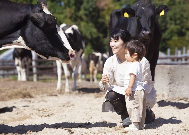 Mother Farm di Chiba adalah tempat yang cocok untuk menghabiskan waktu seharian bersama alam (Gambar: PIXTA)