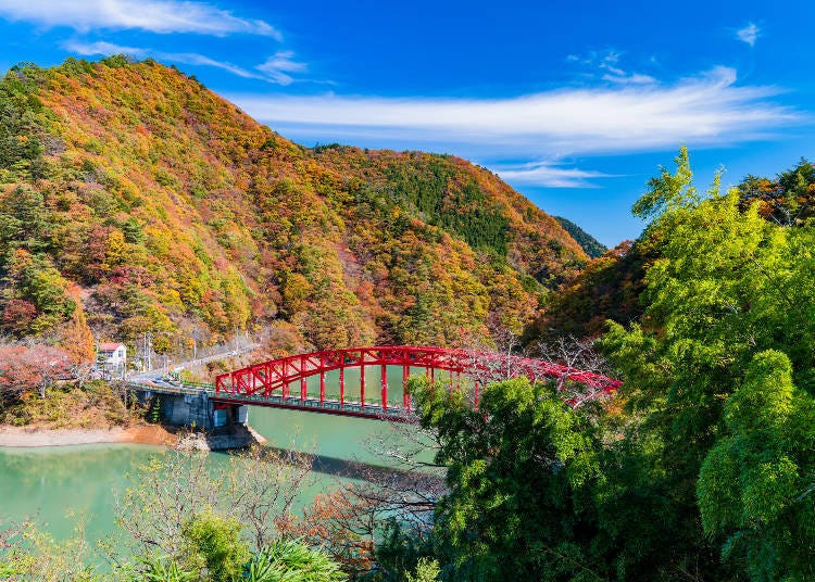 ทะเลสาบโอคุทามะทางตะวันตกของโตเกียวสวยงามที่สุดในฤดูใบไม้ร่วง (ภาพ: PIXTA)