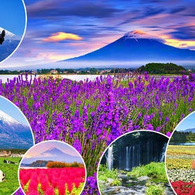 [靜岡] 富士山馬飼野牧場&白絲之瀧一日遊（東京出發）
詳情＆預約 ▶
圖片/活動提供：Klook客路