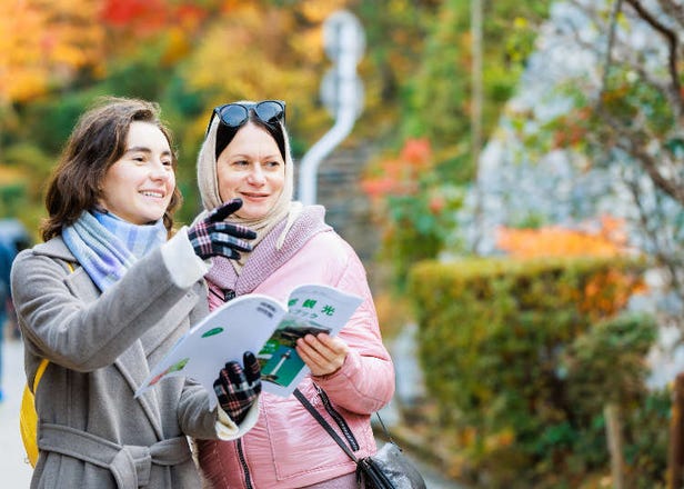 Visiting Japan in November: The Best Things to Do and Reasons to Visit