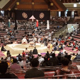 1-Day Sumo Tournament Guide Tour in Fukuoka
Details & Bookings ▶
(Activity provider/Photo: Klook)