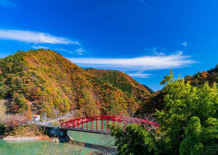 11月陽光明媚的天空和美麗的秋色使這是一年中遊覽日本的美好時光（圖片來源：PIXTA）