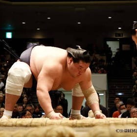 立即預約▶ [福岡]【大人氣的相撲！】福岡 相撲觀戰之旅・A座位・有趣的相撲伴手禮
(活動提供/圖片：KKday)
