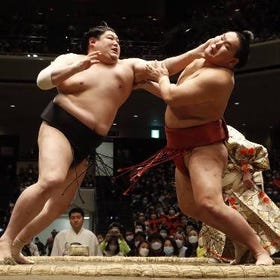 立即預約▶ [福岡]九州大相撲錦標賽
(活動提供/圖片：klook)