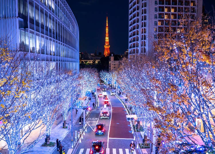 Winter illuminations in Tokyo (Image: PIXTA)