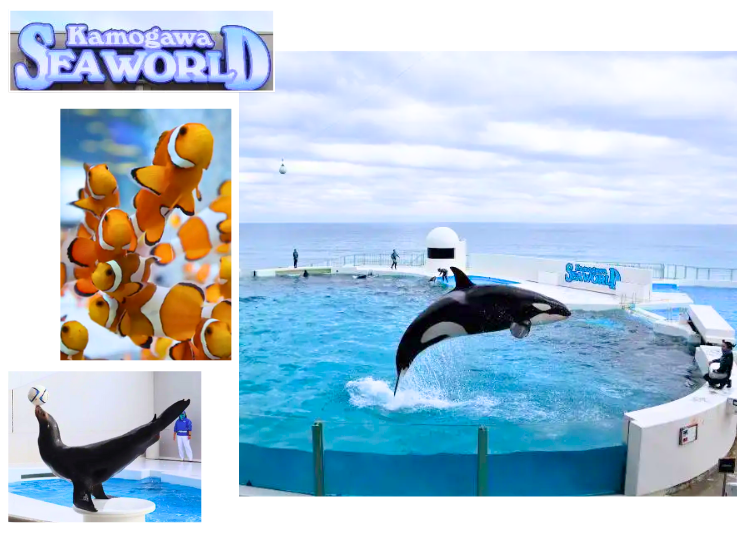 (Photo: LIVE JAPAN article #a0005110)