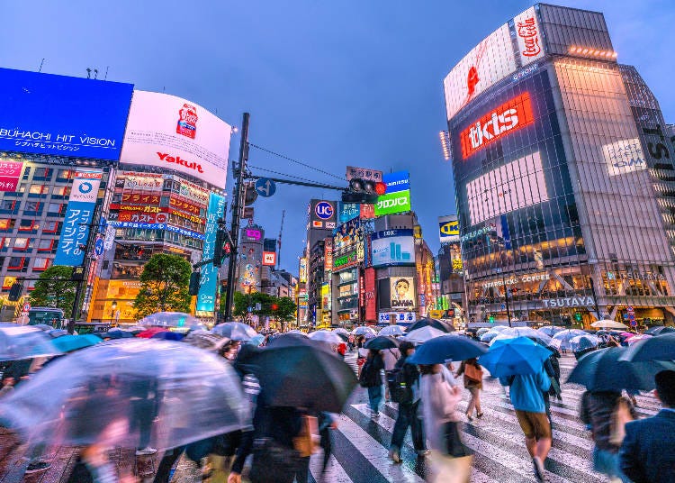 画像素材:PIXTA