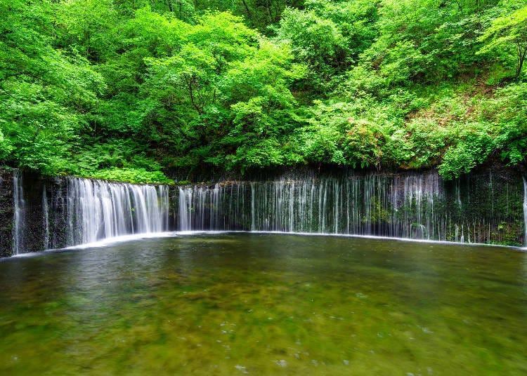 Shiraito Falls (Image: PIXTA)