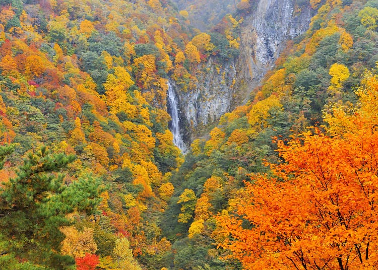 志賀高原　澗満滝（画像素材:PIXTA）