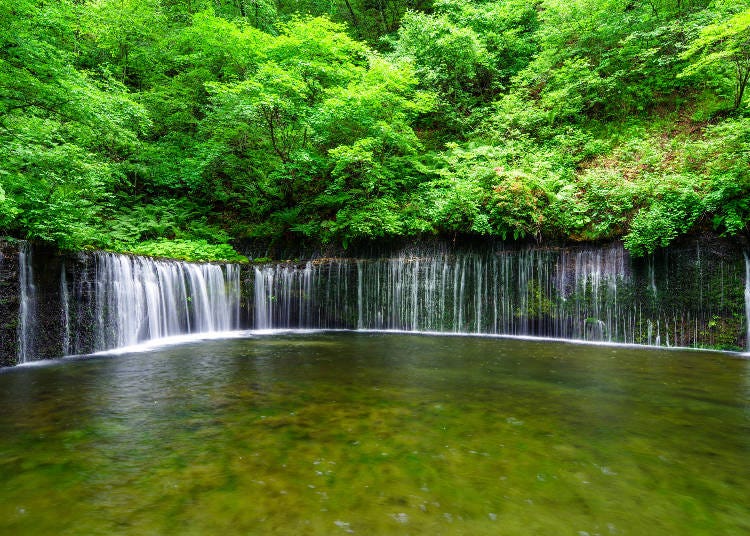 白糸の滝（画像素材:PIXTA）