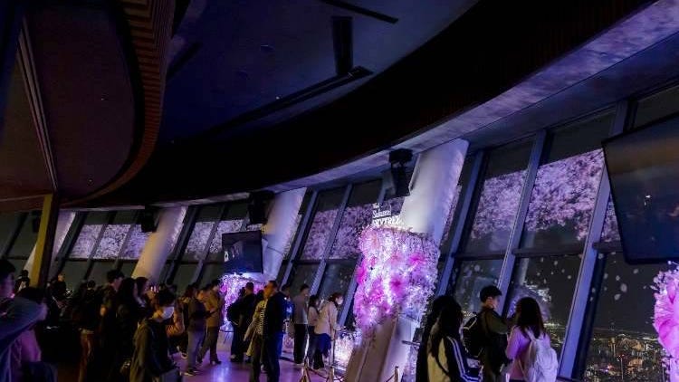 March Events in Tokyo: Fun Festivals, Food, and Things to Do