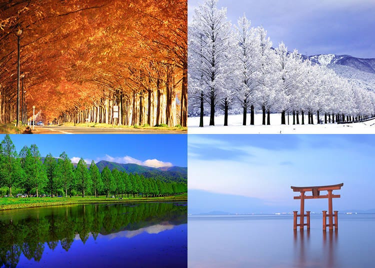 Biwako Visitors Bureau Public Interest Incorporated Association