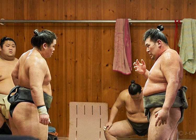 Japanese culture comes in many forms, including sumo, Japan’s national sport (Photo: Wabunka)