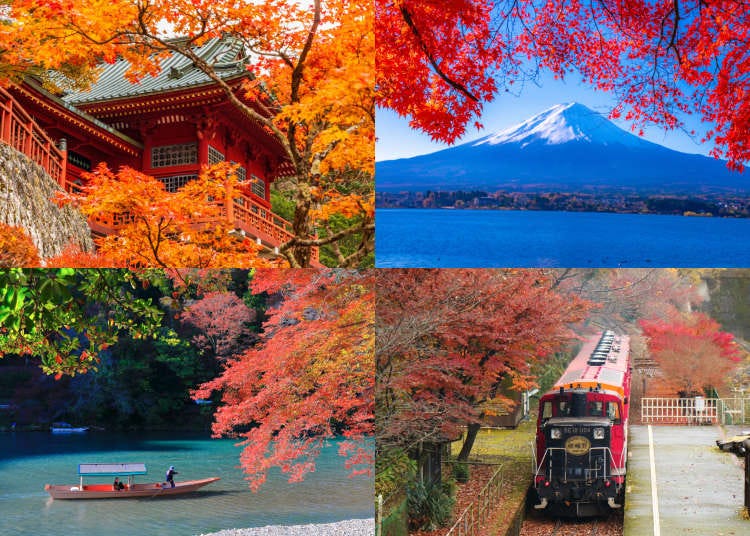 Enjoy Fall 2024 with 27 Popular Autumn Tours from Tokyo, Osaka and Kyoto