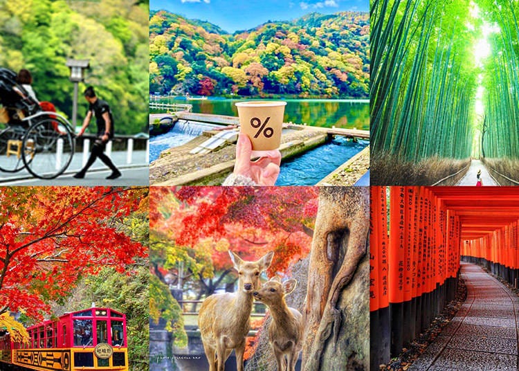 Collage of six autumn views in Kyoto & Nara (Image: Klook)