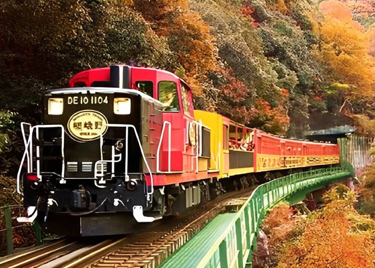 Sagano Romantic Train passing through fall foliage (Image: Klook)