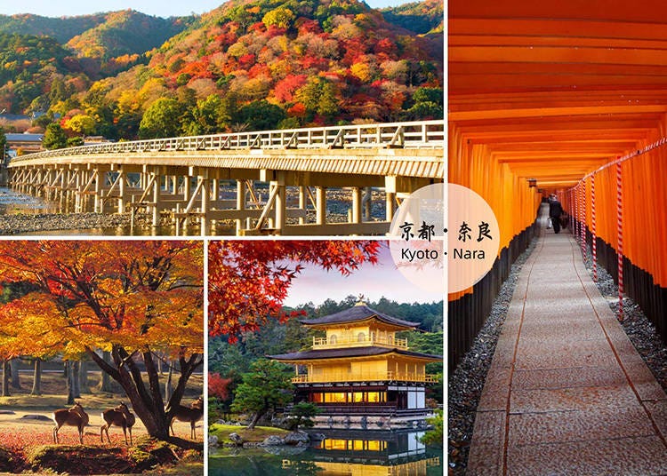 Collage of Arashiyama, Fushimi Inari Shrine, Kinkakuji & Nara Deers (Image: Klook)