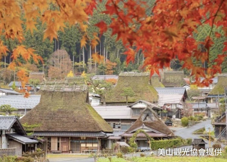 Thatched-roof cottages in Kayabuki-no-Sato (Image: Klook)