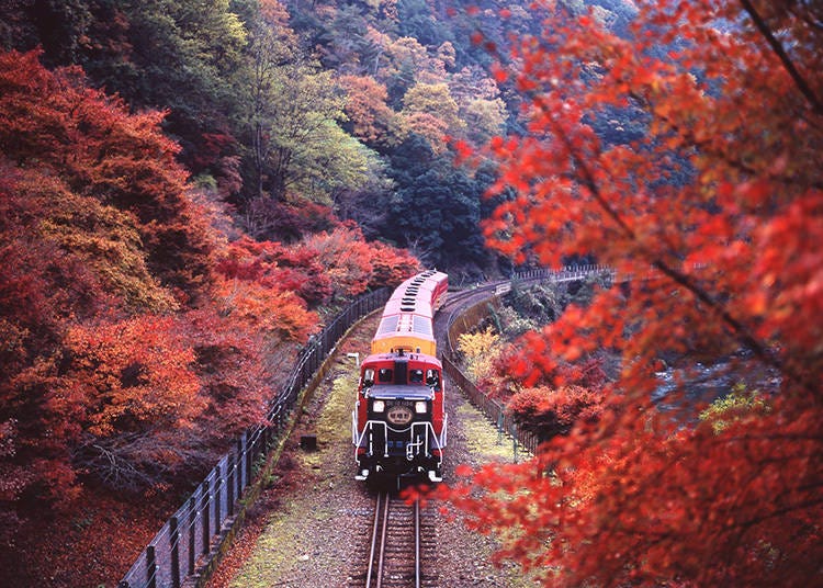 Sagano Romantic Train during the fall (Image: Klook)