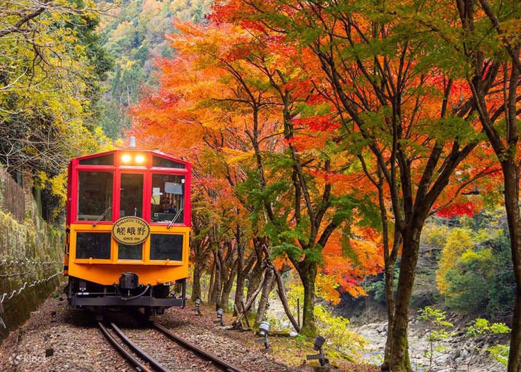 Close up of the front of Sagano Romantic Train in Autumn (Image: Klook)