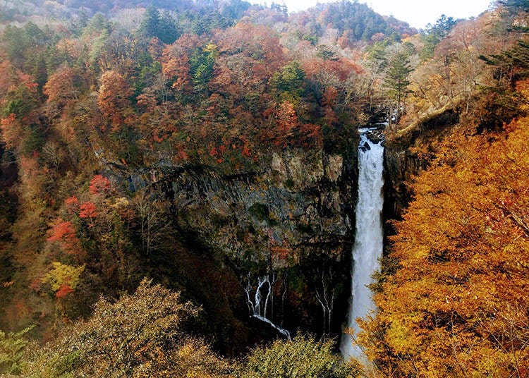 Pemandangan dari atas Air Terjun Kegon ketika musim luruh (Imej: Klook)