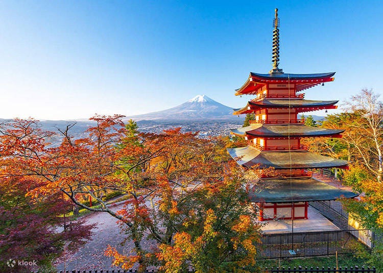 從新倉山淺間公園看到的富士山和忠靈塔（圖片來源：Klook）