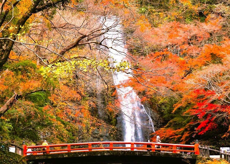 秋日箕面瀑布前的紅色橋樑 (圖片：Klook)