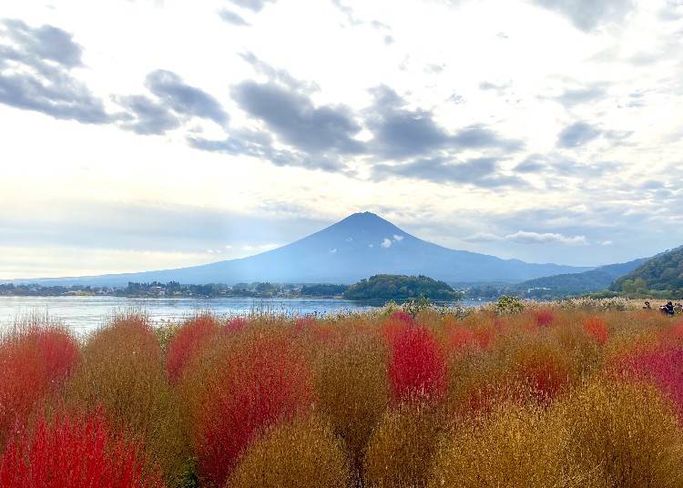 大石公園