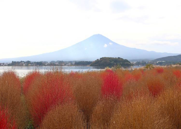 1. 日本之秋:富士山與紅葉交織的絕美景致