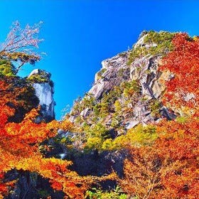 (東京出發)富士山賞楓之旅:河口湖楓葉迴廊、昇仙峽與新倉山淺間公園一日遊
詳情與預約 ▶
(圖片/活動提供者:Klook)