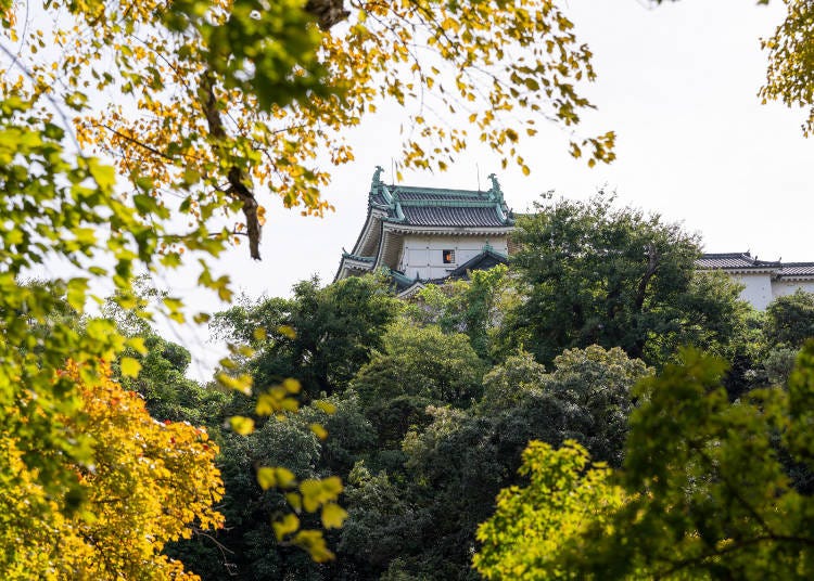 Wakayama Castle (Wakayama / Photo: October 28)