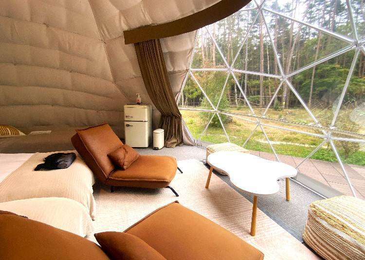 Highlight 1: Immerse Yourself in Japan’s Ever-Changing Natural Beauty