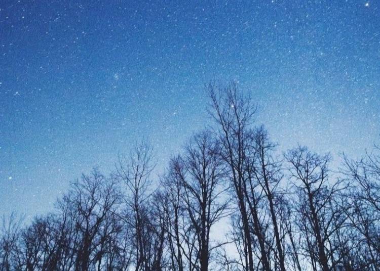 Highlight 2: A Night Under the Stars