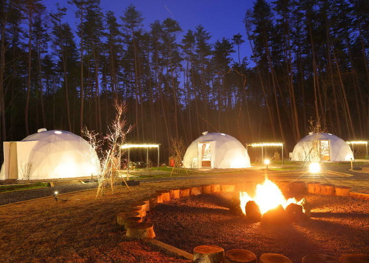 A Campfire Under the Stars